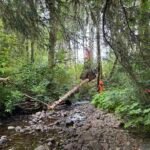 Placing log structures
