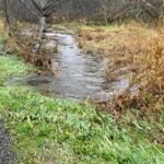 Sutton Creek before project